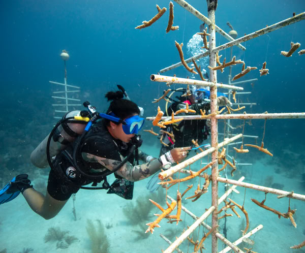 Two young boys enjoying rebuilding a coral reef
